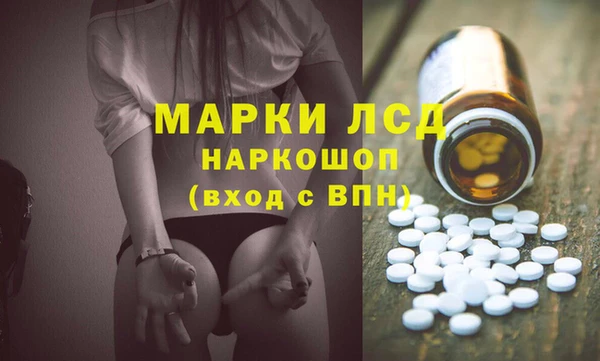 стафф Россошь