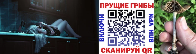 Галлюциногенные грибы прущие грибы  Купить где  Котово 