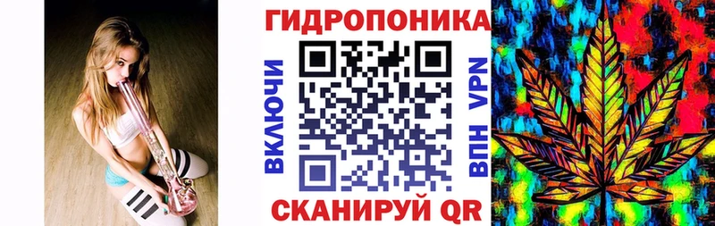 Шишки марихуана семена  Купить где  Котово 